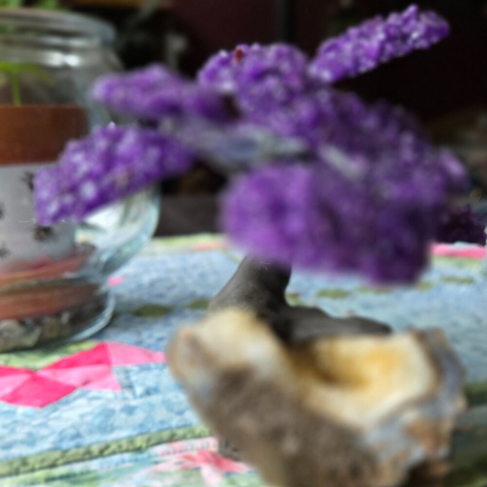 GEMSTONE TREE - AMETHYST AND CITRINE